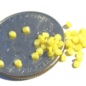 May include: A close-up of a US quarter coin next to a pile of small, yellow corn kernels.