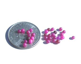 Tiny Purple Grapes 30pcs - Dollhouse Miniature