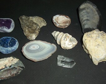 19 small fossils and minerals