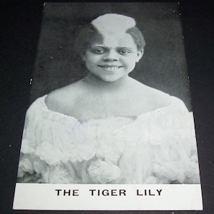 1920s French postcard, the Tiger Lily, sideshow act
