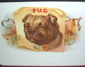 Circa 1915 unused Pug cigar box label