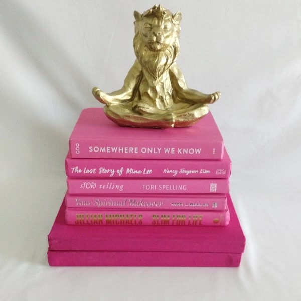 Bright pink decorative books, hot pink fuschia home decor, pink bookshelf decor, library, funky, barbiecore, neon, dorm room decorations