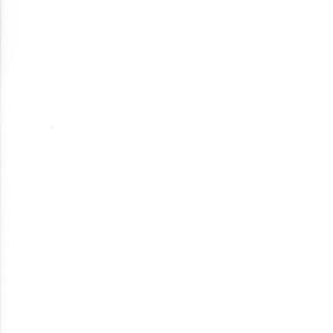 May include: A blank white background.