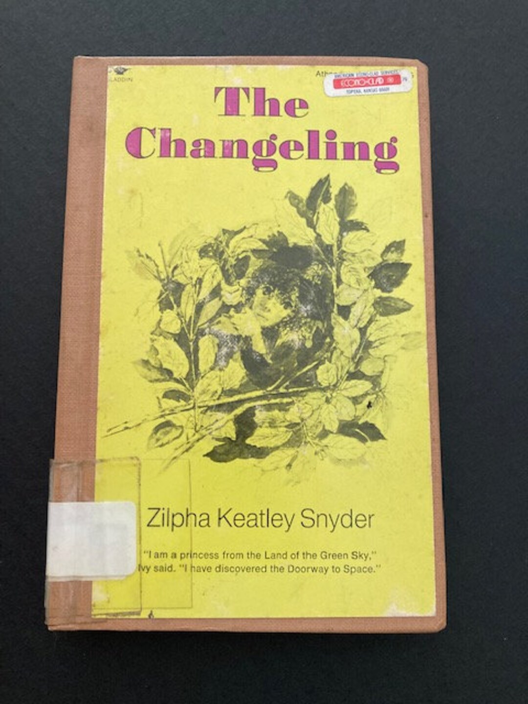 The Changeling Zilpha Keatley Snyder HC 1970 Exlib an Etsy