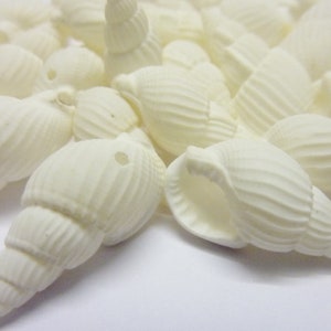 May include: A collection of white seashells, each with a hole drilled through them. The shells are smooth and have a spiral shape.
