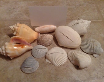 Sea Shell Place Card Holder Set of 10 for Wedding, Party, Corporate Event