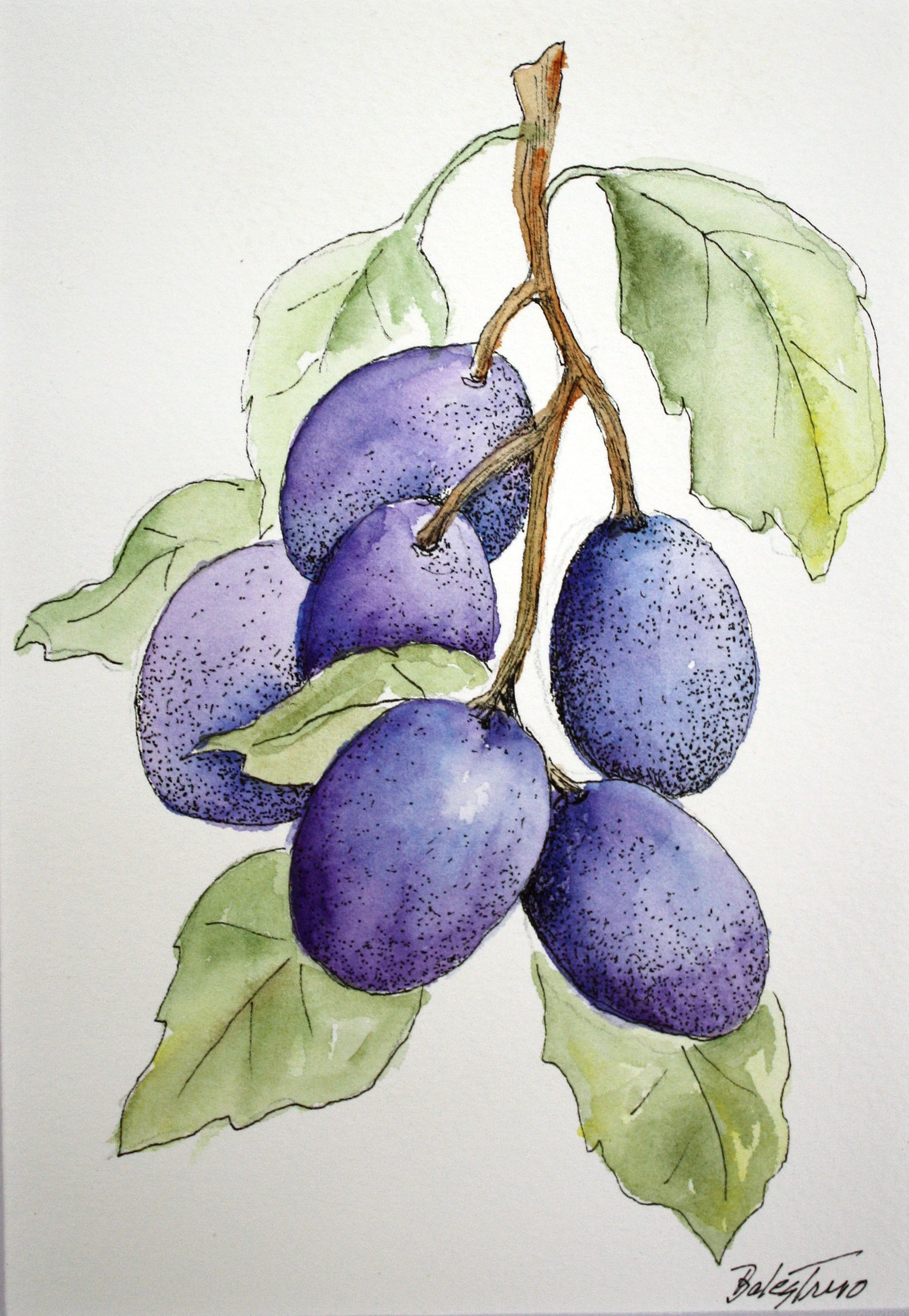 Kitchen Art Grapes Original Watercolor and Pen and Ink Etsy