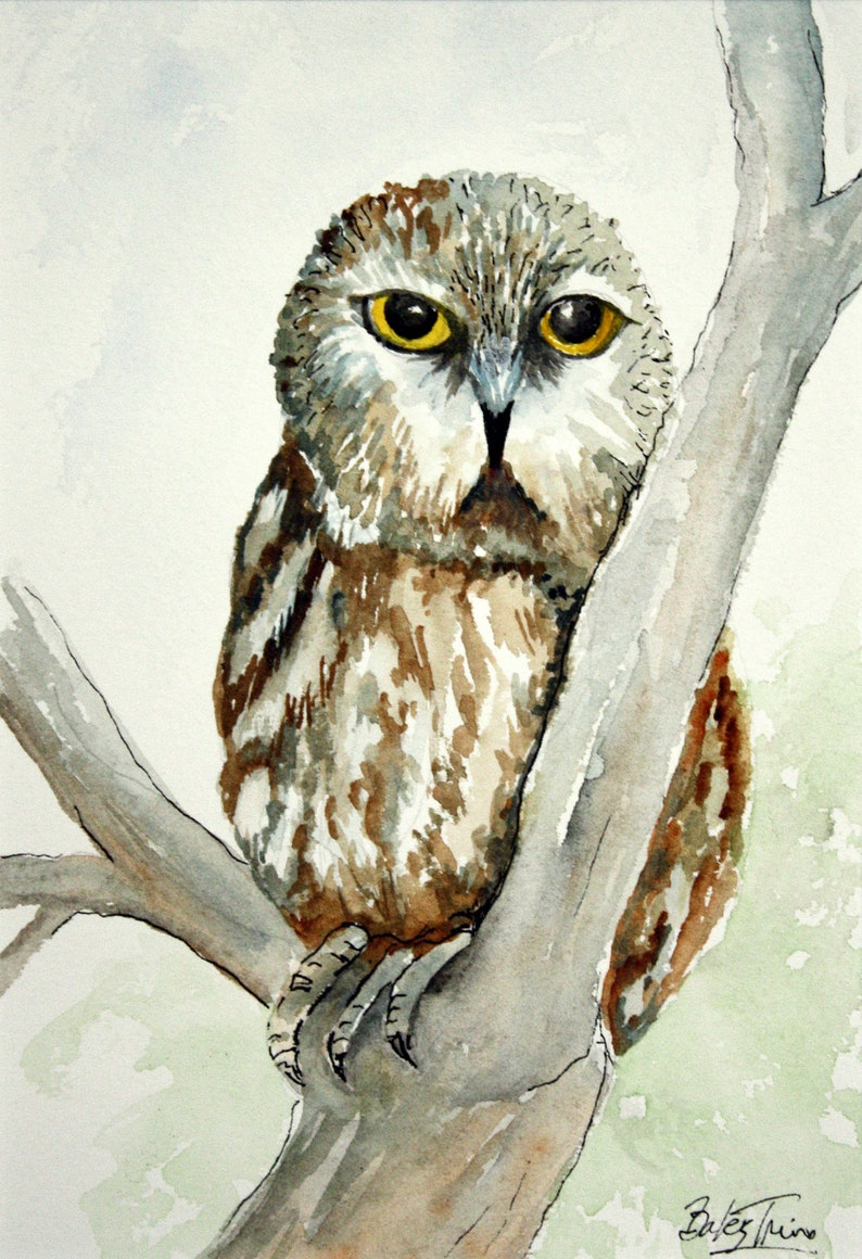 Owl Original Watercolor and Pen and Ink Painting 41 Etsy