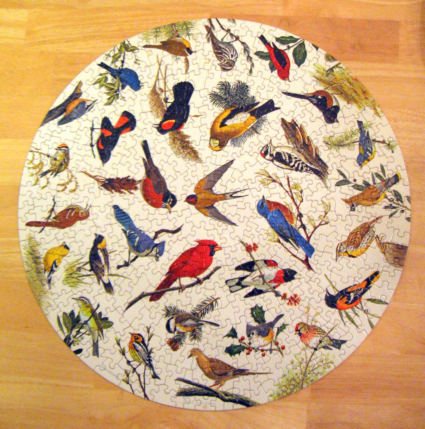 Vintage 1965 Circular Springbok Puzzle Song Birds Etsy