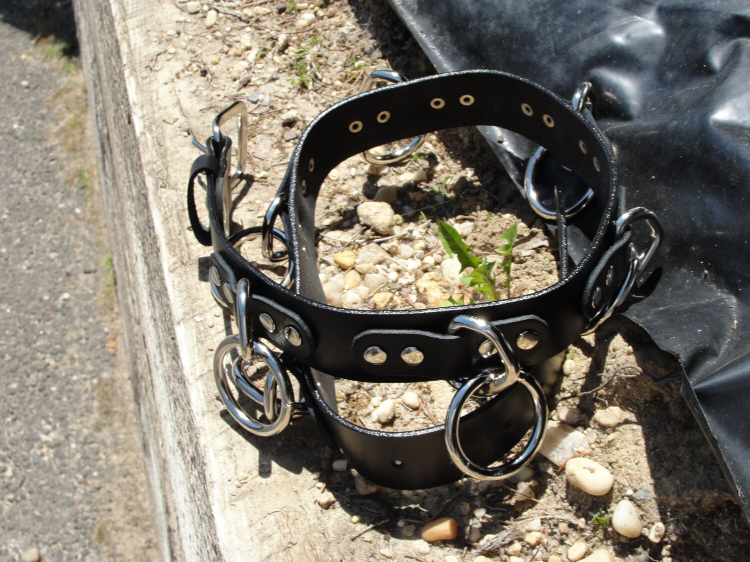 Vegan Friendly Halter O Ring Belt Assembled U.S.A. - Etsy