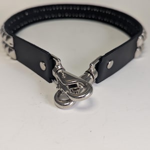 May include: Black leather collar with silver-colored pyramid studs and a metal clasp. The collar is designed with a row of studs along the top edge. The metal clasp is attached to the leather with rivets.