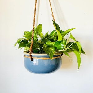 Könnte beinhalten: Ein hängender Pflanztopf mit einem blauen Keramiktopf und einer grünen Hängepflanze. Der Topf wird von einem braunen Seil gehalten. Die Pflanze hat leuchtend grüne Blätter mit gelben Verzierungen, was eine frische, natürliche Ästhetik erzeugt.