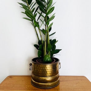 Small vintage Italian Brass Planter – 1960s –Pot Plant Holder with handles