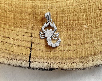 Puede incluir: Colgante de escorpión de plata con piedras de circonita cúbica transparentes.