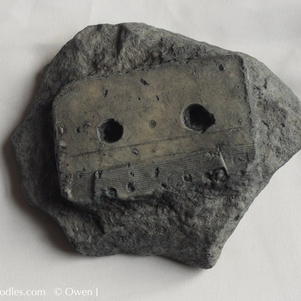 CASSETTE FOSSIL - audio cassette fossilised on rock, made from plaster of Paris