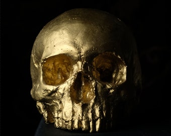 HUMAN SKULL REPLICA Gold Finish - full size detailed human skull replica (plaster of Paris) painted gold
