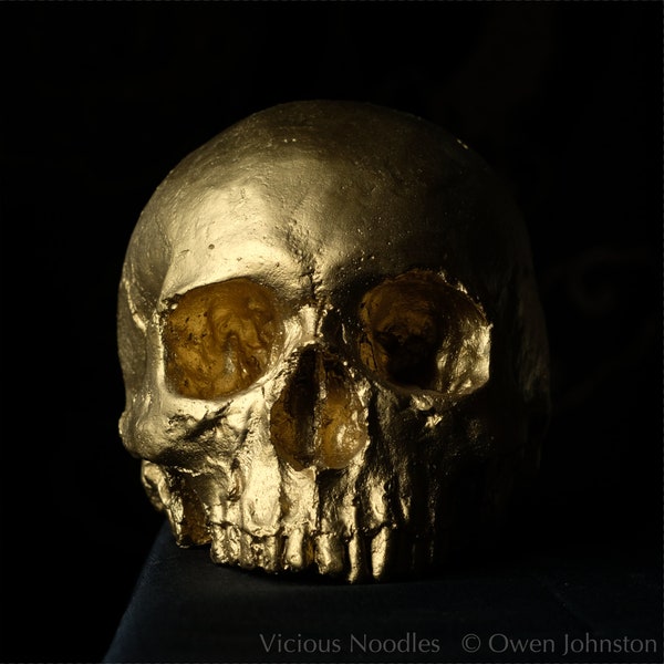 HUMAN SKULL REPLICA Gold Finish - full size detailed human skull replica (plaster of Paris) painted gold