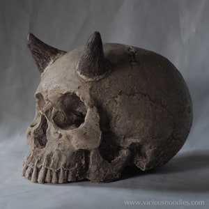 SKULL WITH HORNS (polished bone) full size human skull replica with horns made from plaster of Paris and painted for a weathered appearance