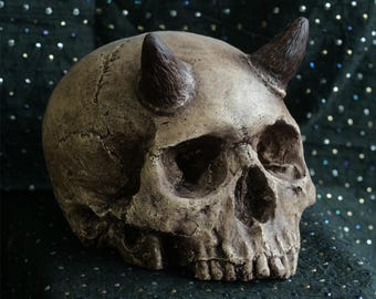 Horned skull replica, life size, made from polymerised plaster and painted for a realistic weathered  appearance