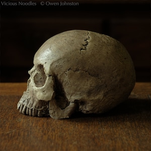 HUMAN SKULL REPLICA (polished bone) full size realistic made from plaster of Paris and painted for an aged, weathered effect image 4