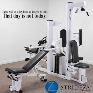 Gym Decal | Gym Wall Stickers | Motivational Fitness | Vinyl Decal | Fitness Studio Decor | Motivational Decal | Vinyl Lettering D00268