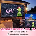 INSTANT ACCESS GIRL Video digital announcement gender reveal movie Wall projection Instant Messaging Fireworks Customised Personalised Text