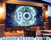 INSTANT ACCESS BOY Video digital announcement gender reveal movie | Wall projection Instant Messaging Fireworks
