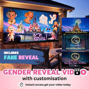 INSTANT ACCESS GIRL with fake reveal Video digital gender reveal movie Wall projection Instant Messaging Fireworks Customised Text