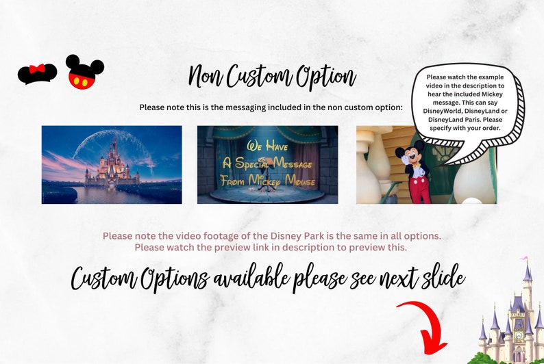 Themed Reveal Orlando Florida Paris California Trip Surprise Video Movie Personalised Message image 2