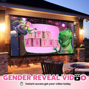 INSTANT ACCESS GIRL Video digital announcement gender reveal movie Wall projection Instant Messaging Fireworks