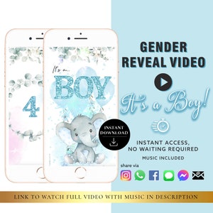 NIÑO Descarga instantánea Tarjeta de video de revelación de género Anuncio digital Video / Correo electrónico Texto Redes sociales Globo Cuenta regresiva Fuegos artificiales