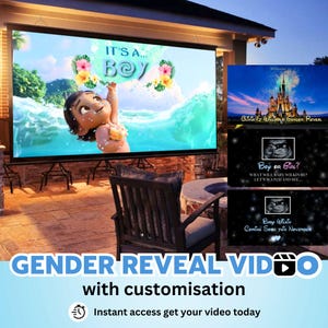 ACCESSO IMMEDIATO RAGAZZO Video annuncio digitale rivelazione sesso film Proiezione a parete Messaggistica istantanea Fuochi d'artificio Testo personalizzato