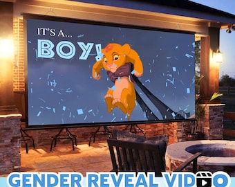 INSTANT ACCESS BOY Video digital announcement gender reveal movie | Wall projection Instant Messaging Fireworks
