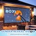 Winnie The Pooh Gender Reveal Video | Its a Girl Gender Reveal Movie | Instant Download