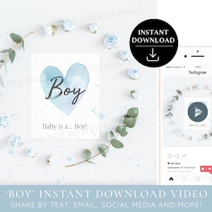 Instant download Geslachtsonthulling video It's a Boy! Videokaart digitale zwangerschapsaankondigingsvideo voor sociale media | Rozen Eucalyptus