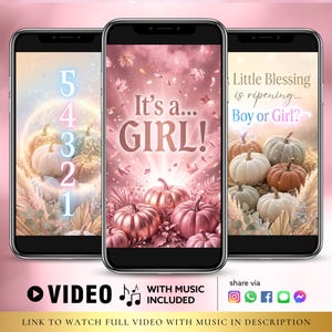 Pumpkin Gender Reveal Video, Its a Girl Pink Fall Autumn Baby Announcement - Instant Download