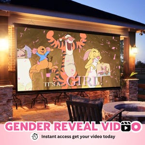 INSTANT ACCESS GIRL Video digital announcement movie| Wall projection Instant Messaging | Fireworks