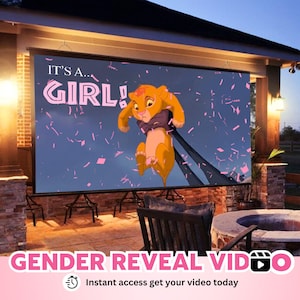 INSTANT ACCESS GIRL Video digital announcement gender reveal movie Wall projection Instant Messaging Fireworks