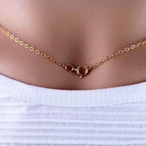 Pu&ograve; includere: Una collana a catena d'oro con chiusura a moschettone.