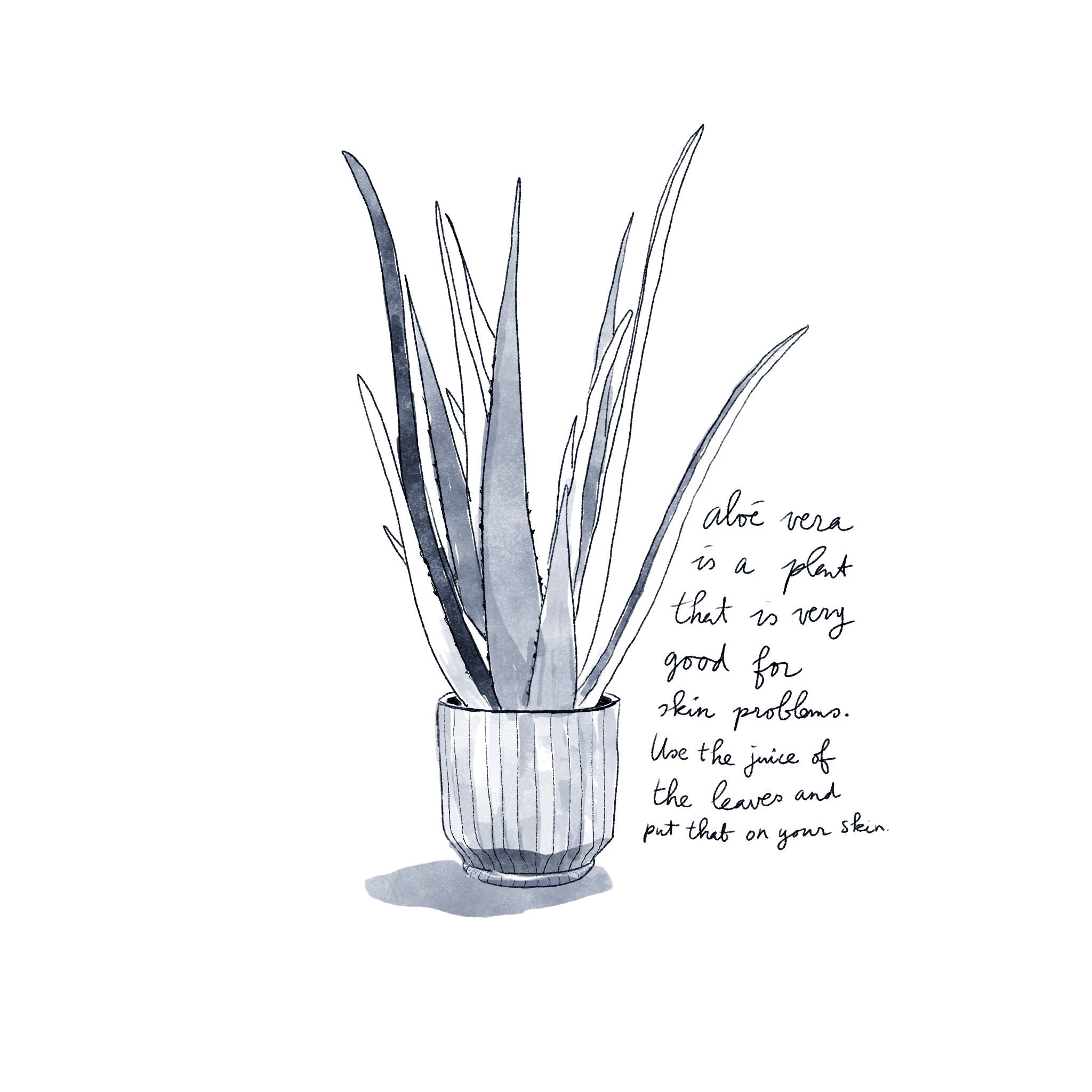 Procreate BIC Penn Ballpoint Brushes for Ballpoint Pen Illustrations Etsy