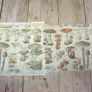 May include: A length of fabric featuring a vintage botanical illustration of various mushrooms in shades of brown, orange, and beige. The fabric has a raw edge and is laid on a light wood surface.