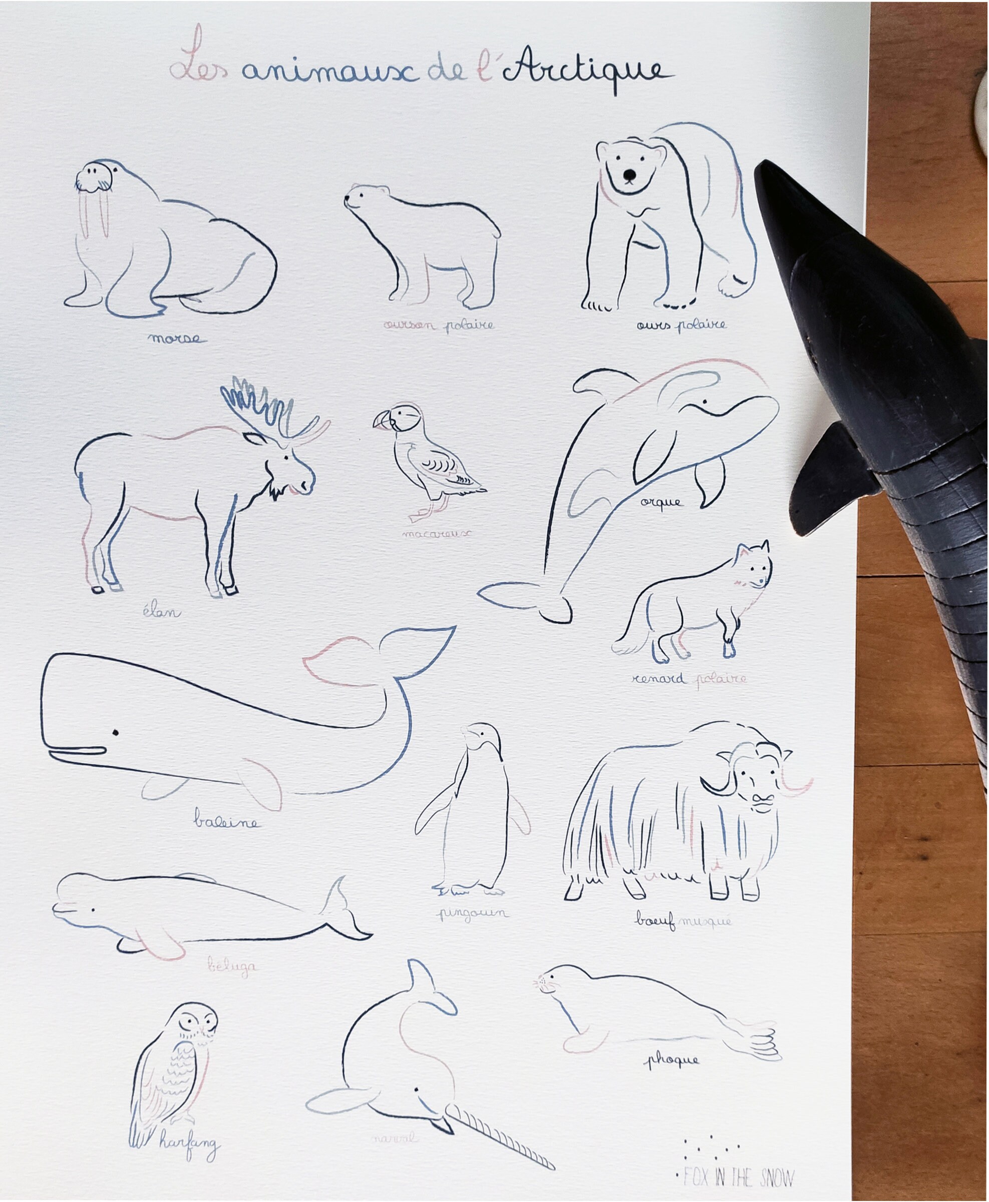 Illustration Les Animaux de L'articque