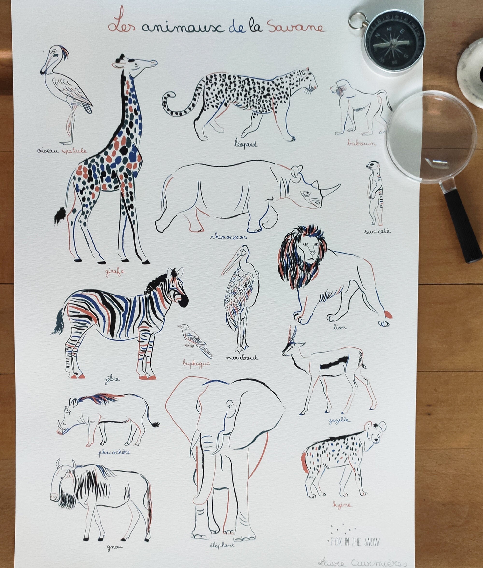 Illustration Les Animaux de La Savane