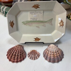 May include: A rectangular, off-white ceramic platter with a painted fish and seashell designs. The platter has a black metal stand and is accompanied by three seashells. The platter has text that reads "FRANCE COLLECTION SMALL SERVING PLATTER HANDMADE IN PORTUGAL".