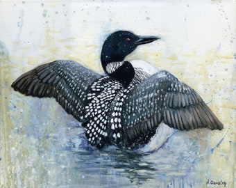 Common loon