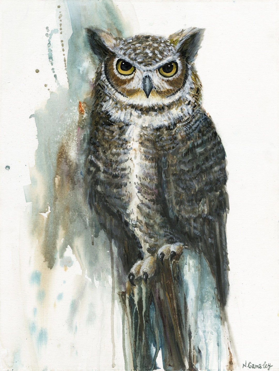 Great Horned Owl Juvenile Etsy