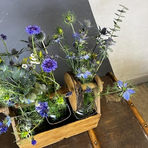 May include: A wooden box holding two glass jars, each filled with a vibrant floral arrangement. The flowers display shades of blue and purple, complemented by green foliage. The box has a rustic design, ideal for displaying fresh flowers.