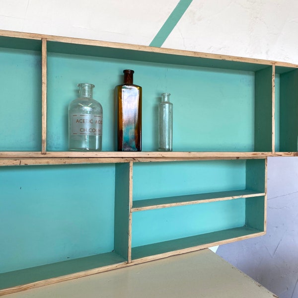 Vintage Shelf shop display Storage Wall Cupboard