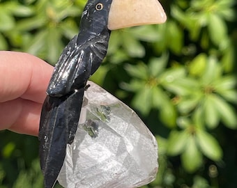 Black Tourmaline w/Orange Calcite Handcarved Bird on Quartz, Collectors Crystal Toucan