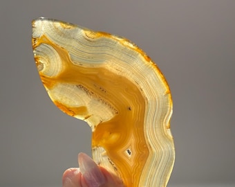 Polished Mozambique Agate Slab, Collectors Unique  Natural Stone, Colorful Jelly Agate with Dendritic inclusions